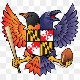 Birdland Orioles And Ravens, HD Png Download - raven wings png