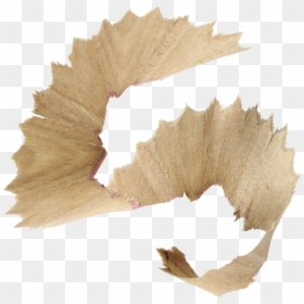 Wood Shavings Png - Pencil Shavings Transparent Background, Png Download - wood shavings png