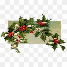 Vintage Christmas Holly Holly Branch, HD Png Download - christmas berries png
