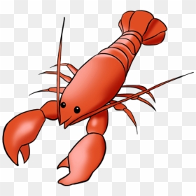 Transparent Crayfish Clipart - Draw A Lobster Step By Step, HD Png Download - lobster tail png