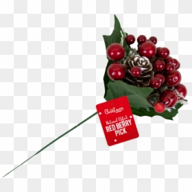 Christmas Red Berry Pick With Pdq - Currant, HD Png Download - christmas berries png