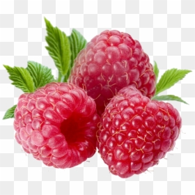 Download Berries Png File - Berries Png, Transparent Png - christmas berries png