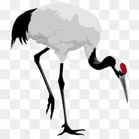 Red Crowned Cranes Google - Whooping Crane Clip Art, HD Png Download - japanese art png