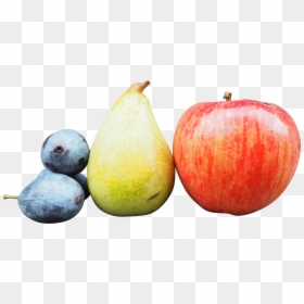 Apple, HD Png Download - watercolor pngs