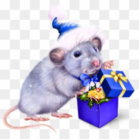 Rat Christmas Png, Transparent Png - cute mouse png