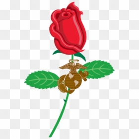 Usmc Wife Rose - Illustration, HD Png Download - rose graphic png