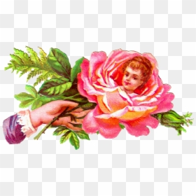 Rose With Face In Middle, HD Png Download - rose graphic png