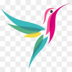 Thumb Image - Hummingbird Graphic, HD Png Download - colibri png