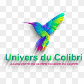 Hummingbird, HD Png Download - colibri png