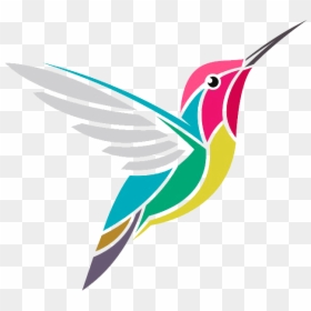 Hummingbird, HD Png Download - colibri png