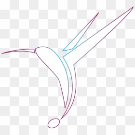 I Really Love The Colibri Logo Can I Have It Glad To - Illustration, HD Png Download - colibri png