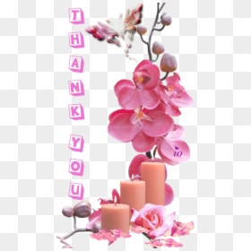 Orchid Flower Frame Psd , Png Download - Orchid Png, Transparent Png - orchid flower png
