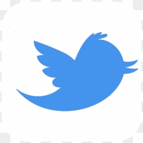 Twitter - Twitter Logo Png, Transparent Png - colibri png