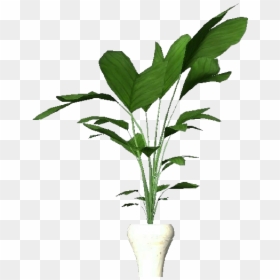 Potted Plant For Apartments - Apartment Flower Png, Transparent Png - potted tree png