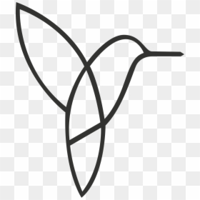 Line Art, HD Png Download - colibri png