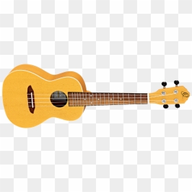 Basse Cort Action, HD Png Download - gold music png