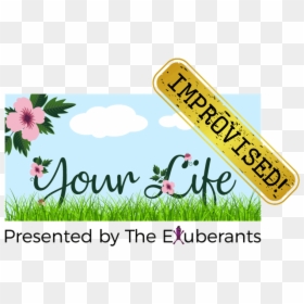 Your Life Improvised Presented - Floral Design, HD Png Download - ticket stub png