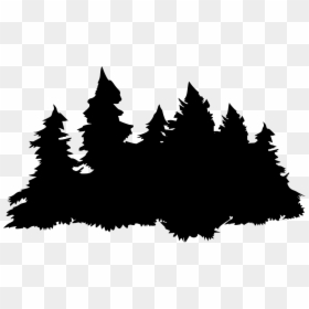 Transparent Background Forest Clipart, HD Png Download - pine leaves png