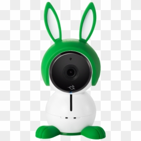 Aba1300 - Abc1000 100eus, HD Png Download - baby bunny png