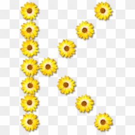 Sunflower Seed,chrysanths,plant, HD Png Download - greek alphabet png