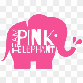 Team Pink Elephant - Indian Elephant, HD Png Download - pink elephant png