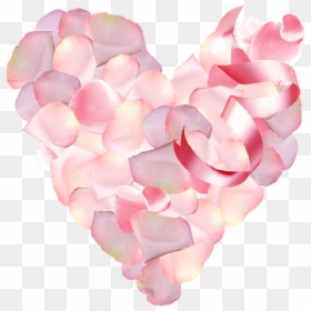 Heart, HD Png Download - petalos de rosa png
