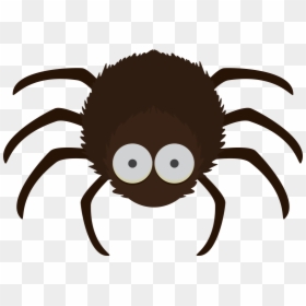 Spider, HD Png Download - halloween spider png
