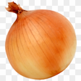 White Onion Yellow Onion Vegetable - Transparent Background Onion Transparent, HD Png Download - white onion png