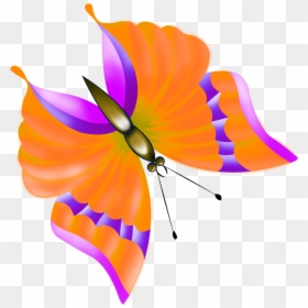 Butterfly Clip Art, Orange Butterfly, Butterfly Images, - Butterfly, HD Png Download - orange butterfly png