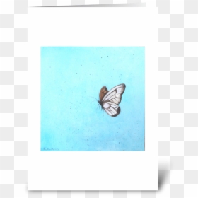 Orange Butterfly Greeting Card - Brush-footed Butterfly, HD Png Download - orange butterfly png
