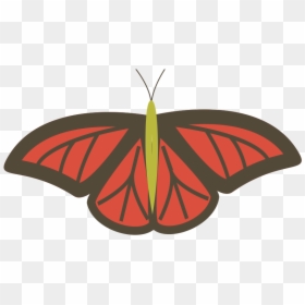 Butterfly, HD Png Download - orange butterfly png