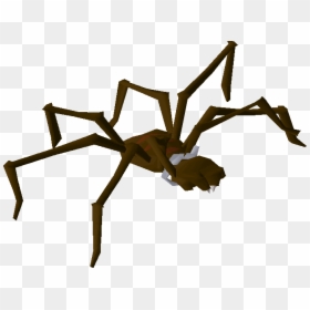 Old School Runescape Wiki - Insect, HD Png Download - hanging spider png