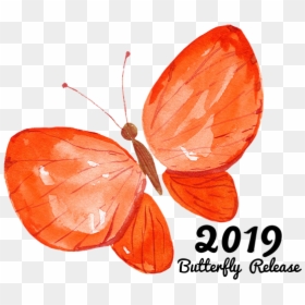 Lycaenid, HD Png Download - orange butterfly png