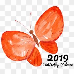 Lycaenid, HD Png Download - orange butterfly png
