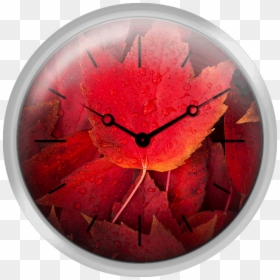 Red Fall Leaves With Water Drops - Wall Clock, HD Png Download - waterdrops png
