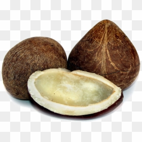 Half Coconut Png Photos - Dry Coconut Png, Transparent Png - coconut png images