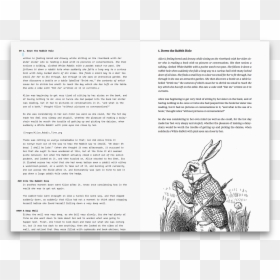 White Rabbit Alice In Wonderland Drawing, HD Png Download - paper falling png
