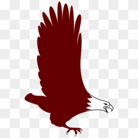Eagle, HD Png Download - wingspng