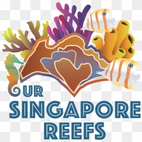 Our Singapore Reefs, HD Png Download - coral reef clipart png