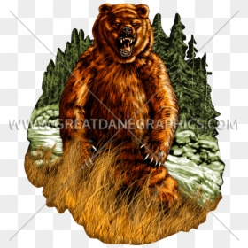 Grizzly Bear, HD Png Download - bear .png