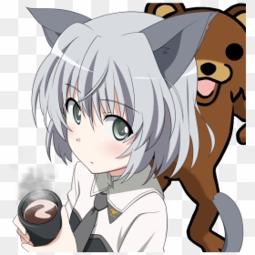 Pedo Bear Png, Transparent Png - bear .png