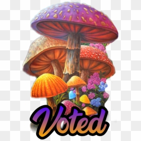 #mushroom #toadstool #voted #stormeday - Medicinal Mushroom, HD Png Download - toadstool png