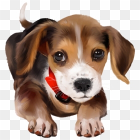 Puppies Adorable Background Transparent, HD Png Download - cute puppies png