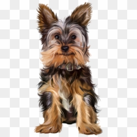 Yorkie Halloween Png, Transparent Png - cute puppies png