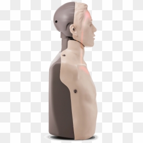 Cpr Manikin With Led Light Feedback Red Cross Store - Mannequin, HD Png Download - manikin png