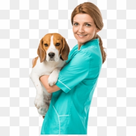 Image - Person With Beagle White, HD Png Download - vet png