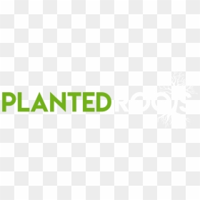 Planted Roots Cape Town - Graphic Design, HD Png Download - bamboo tree png