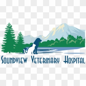 Soundview Veterinary Hospital - Pine Tree Vector Png, Transparent Png - vet png