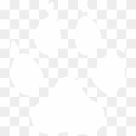 Pet Shop Background, HD Png Download - earth black and white png