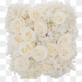 Hydrangea Rose Box - Hybrid Tea Rose, HD Png Download - falling roses png